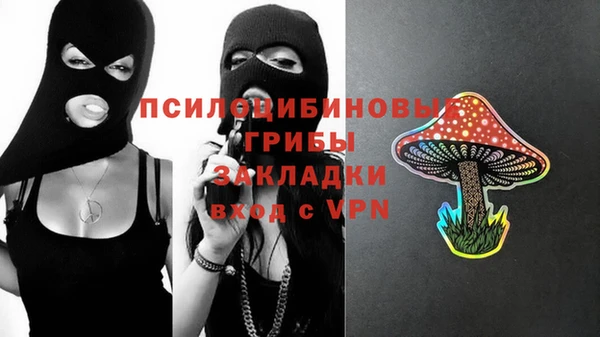 гашик Покров