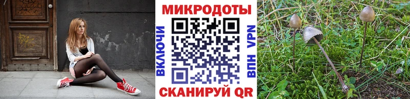 Галлюциногенные грибы MAGIC MUSHROOMS  Купить  Усолье 
